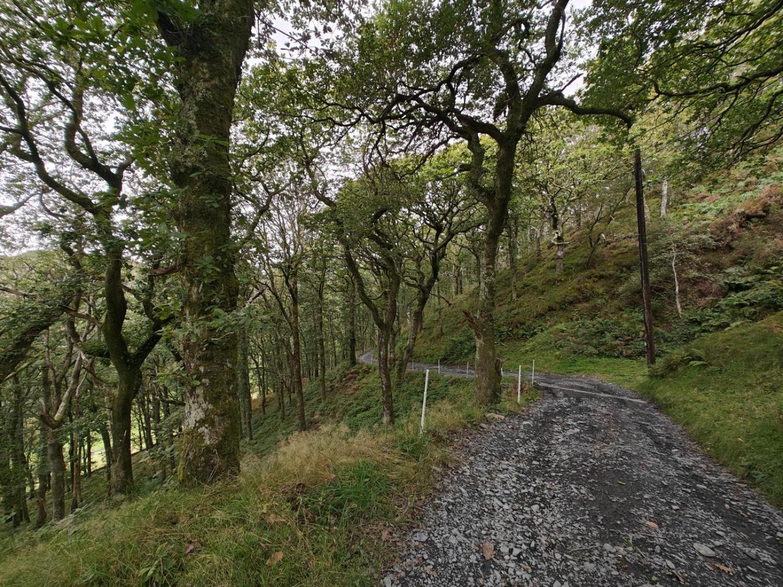 Y Cwtch - Panoramic Mountain Views Within Snowdonia'S National Park - 4X4 Recommended Villa Dolgellau Exterior photo